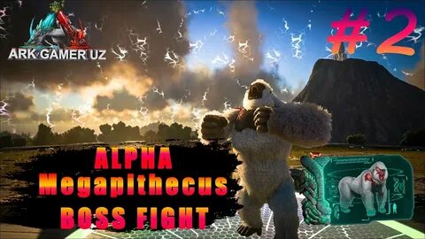 Мегапитек арк