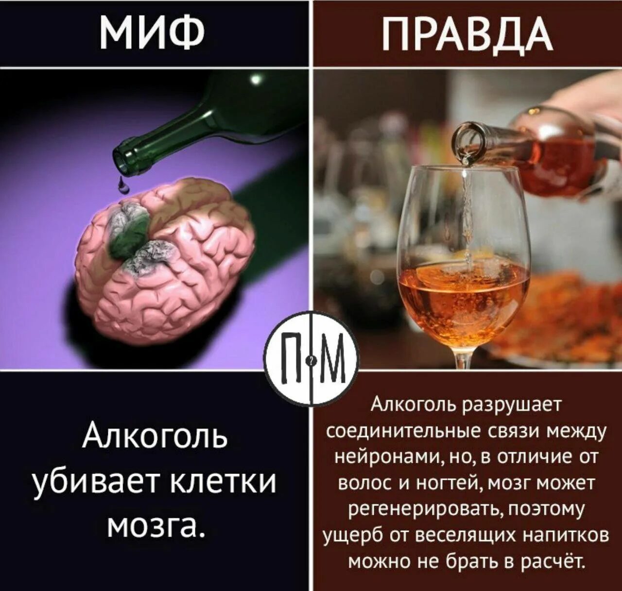 Правда ли что принимать. Алкогольные мифы. Алкоголь убивает мозговые клетки.