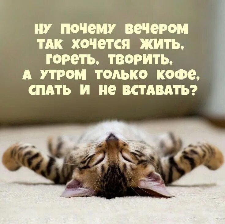 Уже вечер а не утро
