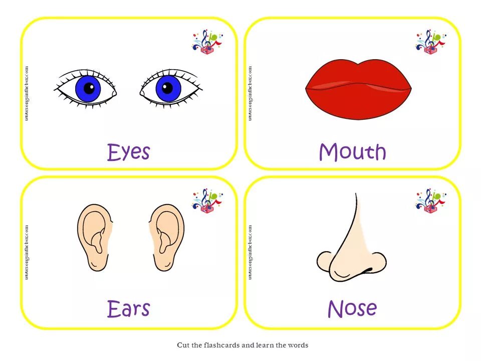Карточки с частями тела на английском языке. Eyes произношение на английском. Eyes произношение на английском. Глаза на английском языке. Глаз на английском языке с транскрипцией.