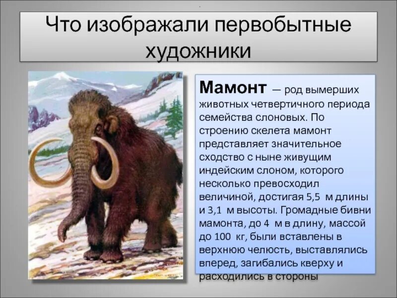 Информация сообщение 5 класс. Рассказ про Мамонтов 5 класс. Доклад про мамонта. Описание мамонта. Доклад про Мамонтов.