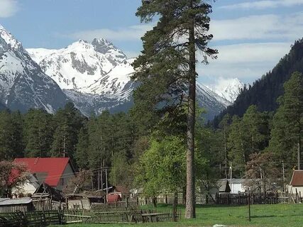 Архыз ферма альпак карачаево черкесская республика