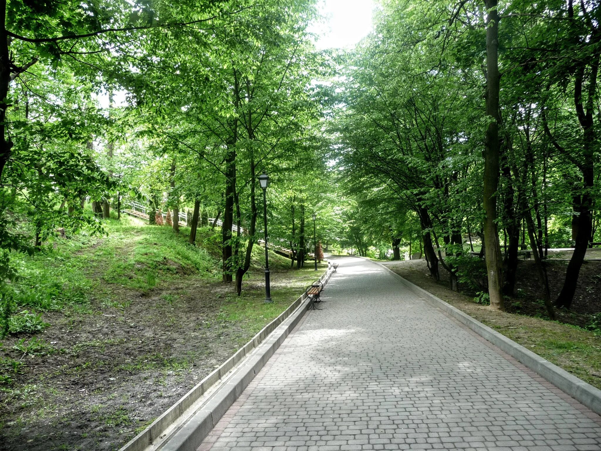 Student park. Парк Львов. Львовский парк. Университетский парк. Город Львов парк.