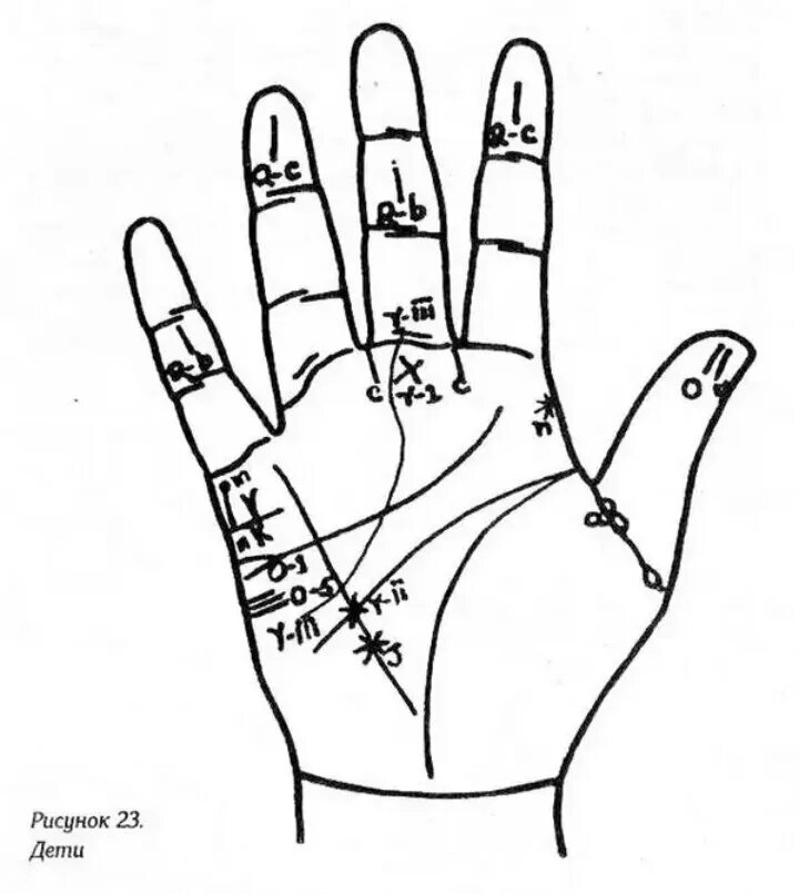 Пальцы в хиромантии. Фаланги пальцев хиромантия. Знаки на фалангах пальцев рук хиромантия. Хиромантии линии на фалангах пальцах. Палец Меркурия хиромантия.