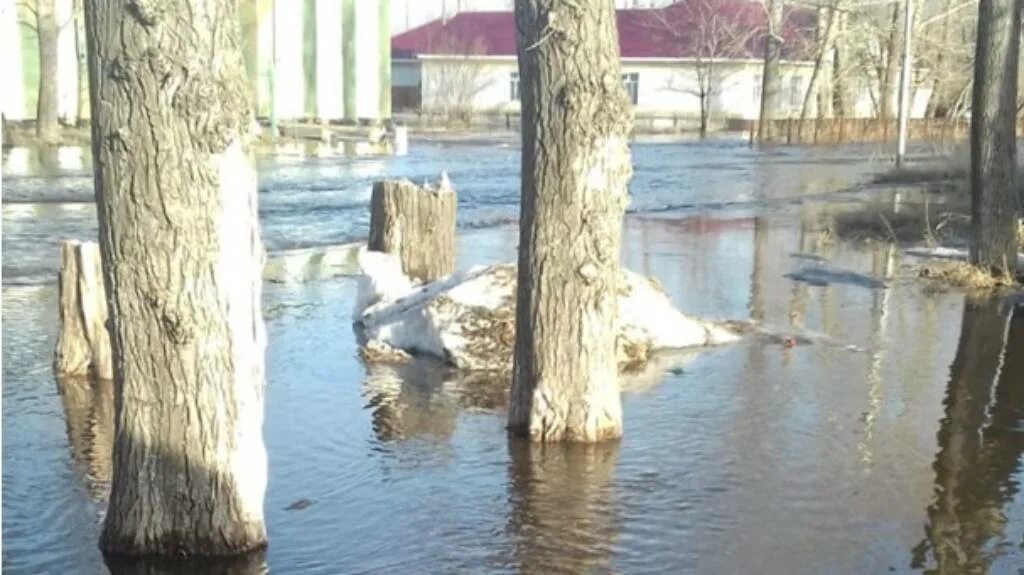 Уровень воды в камне на оби сегодня. Камень-на-Оби река. Вода река. Цвет воды в реке. Уровень воды в Оби в Камне на Оби.