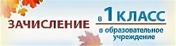 Зачисление в первый. Зачисление в школу. зачисление в образовательную организацию. зачисление в школу картинка. зачисление в 1 класс картинка.