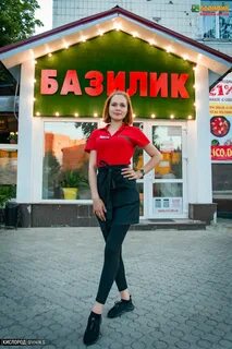 Базилик донецк