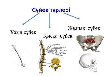 Барлығы20жеке20порно
