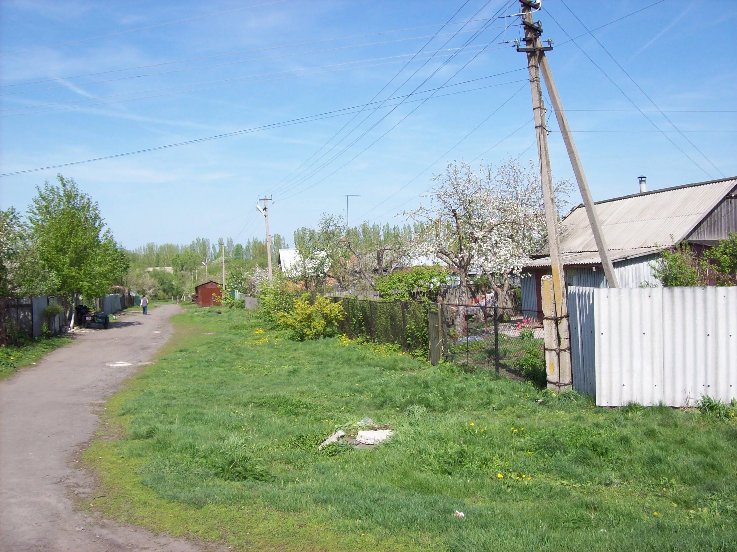 Село парусное воронежская область. Село парусное воронежская область. Волчья александровка белгородская область школа. Александровка воронежская область пруды. Продается участок.