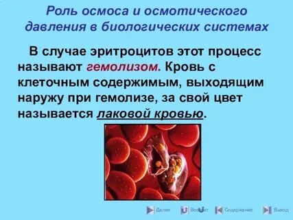 Роль осмотического давления в биологических системах