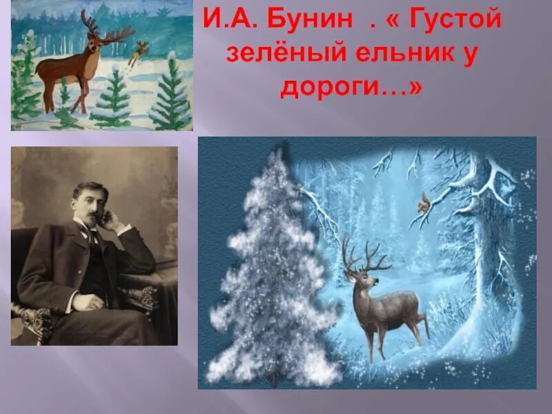 Густой зеленый ельник у дороги бунин стихотворение. Густой зелёный ельник у дороги бунин. иван бунин про оленя. густой зелёный ельник у дороги бунин стихотворение. бунин ельник.