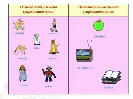 Книга неодушевленное
