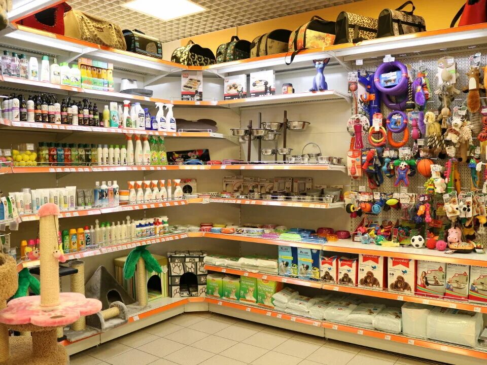 В зоомагазине было 5