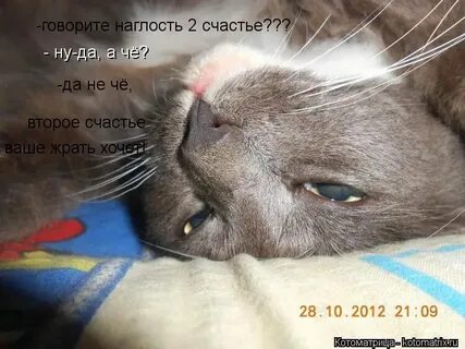 Вызывающе говорить