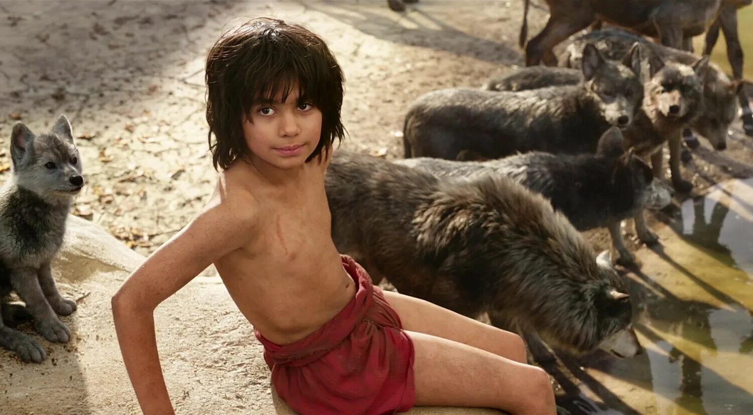 маугли дисней 1967. майкл морпурго рожденный бежать. мальчик из джунглей. мальчик из джунглей. маугли мультик.