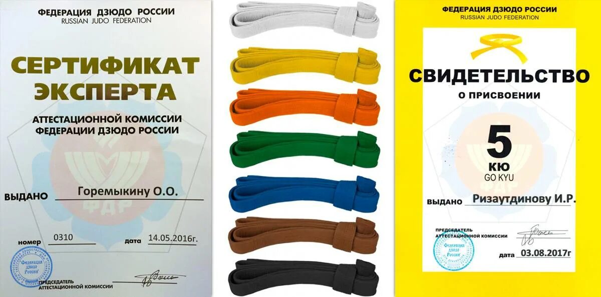 Как получить желтый пояс. Сертификат на желтый пояс. пояса по дзюдо. цвета поясов в карате. сертификат желтый пояс дзюдо.