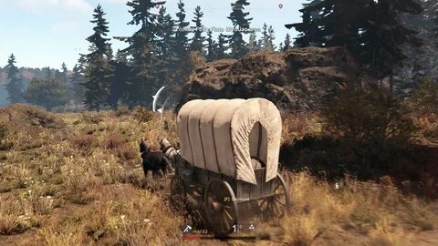 Land on their foot