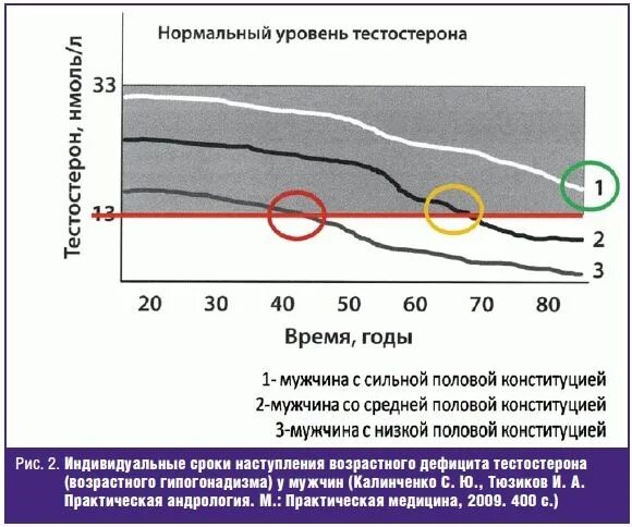 Сильная половая конституция. Уровень тестостерона у мужчин. Нормальные показатели тестостерона для мужчин. Тестостерон у мужчин график. График изменения уровня тестостерона.