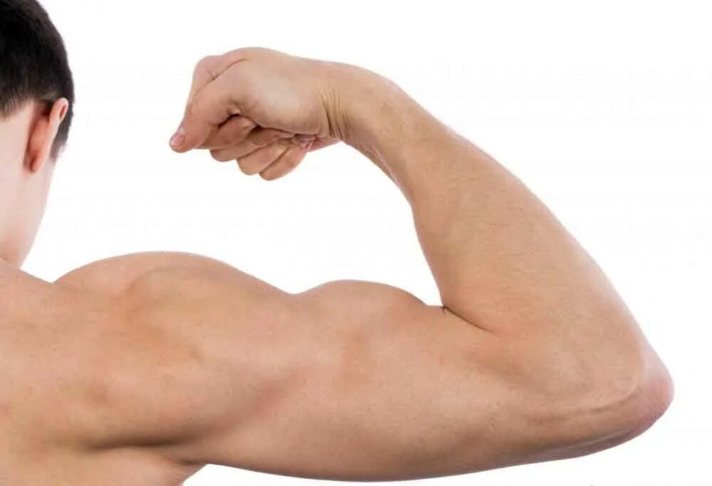 Человек бицепс. Парень с гантелями. Человек бицепс. Красивый бицепс. Мужской бицепс.