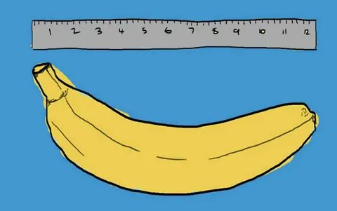 خريطة طول الاعضاء التناسلية - autokey.shop 