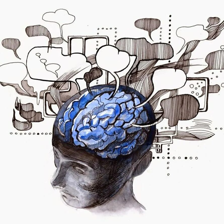 Память функция мозга. Психические процессы мозга. Мозг думает. Мозг мышление.