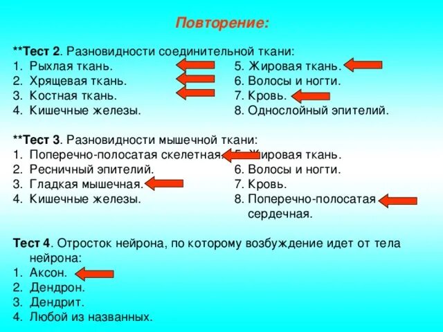 Ткани человеческого организма. Рыхлая и плотная соединительная ткань. Функции соединительной ткани животных. Тест по анатомии по теме ткани. Типы строение соединительной ткани.