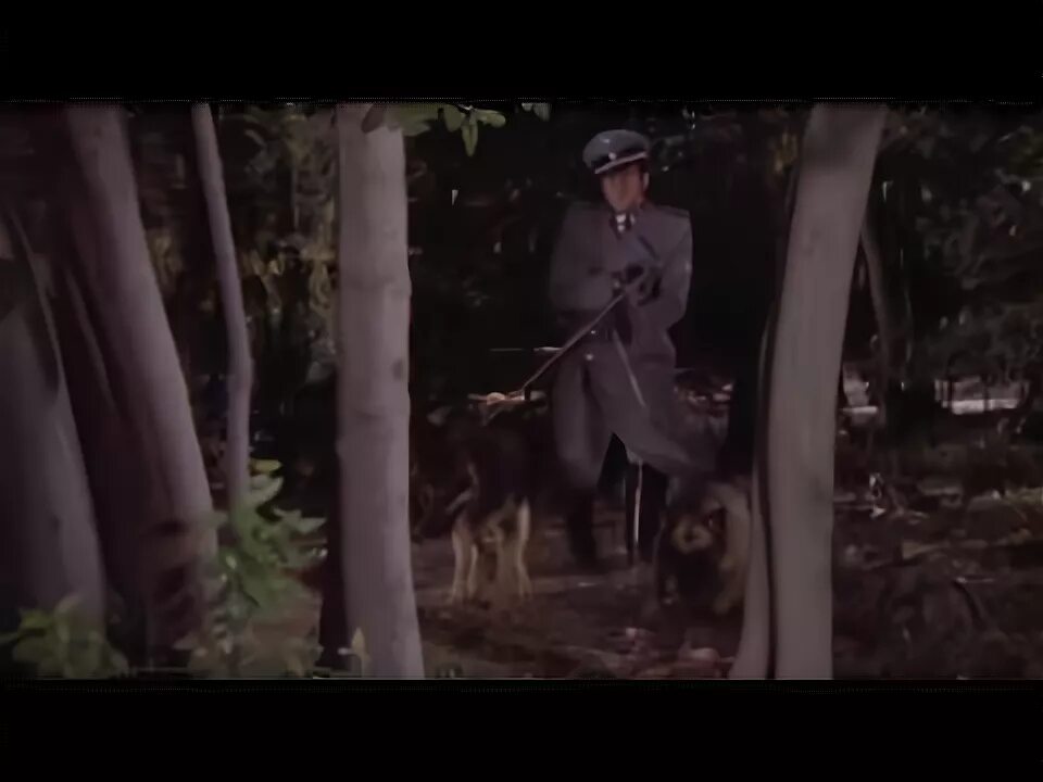 Охота на евреев. Охота на евреев. Хуго йегер. Еврей убегает. Охота на евреев.