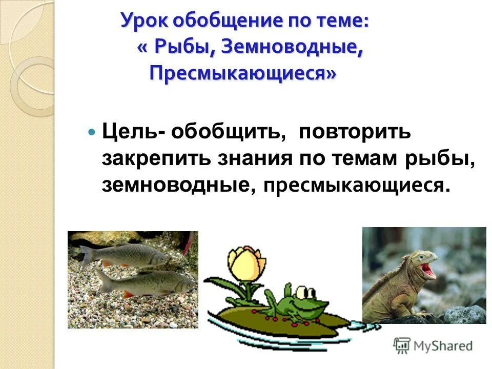 общая характеристика пресмыкающихся 7 класс биология. пищ система пресмыкающихся. как доказать что пресмыкающиеся более. пресмыкающиеся презентация. биология 7 класс класс пресмыкающиеся черепахи, змеи, крокодилы,.