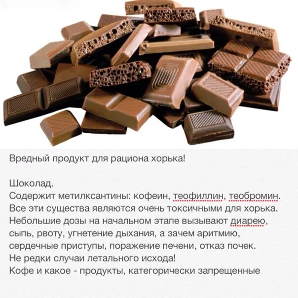 Купить шоколад в хабаровске