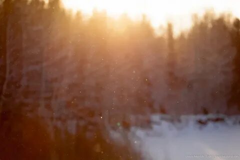 Снежная пыль столбом стоит в воздухе