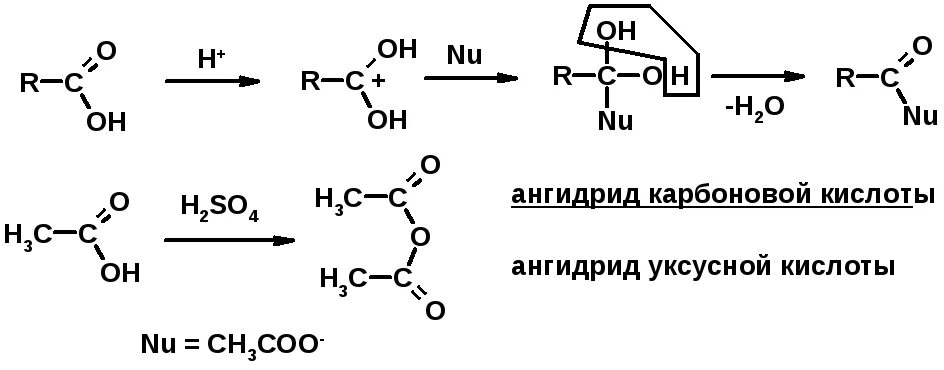 Образование ангидрида уксусной кислоты. Образование ангидридов карбоновых кислот. Образование ангидрида из уксусной кислоты. Ангидрид уксусной кислоты получение из уксусной кислоты. Бутановая кислота образуется