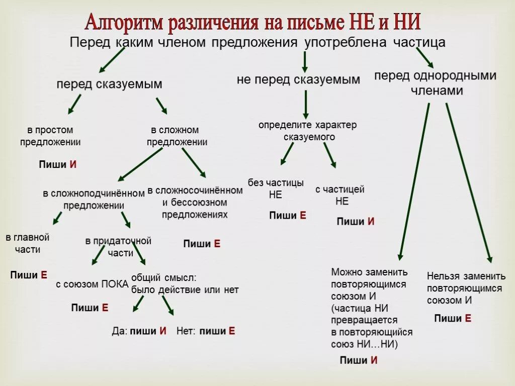 Частицы не ни с разными частями речи