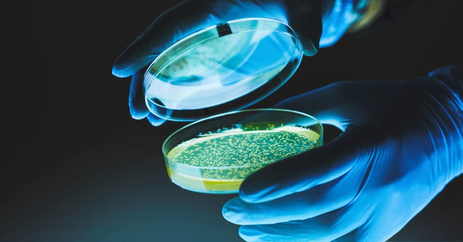 Научные достижения в области пищевых биотехнологий. Синтетическая биология. Биотехнология. Современные биотехнологии. Биотехнология микроорганизмов.