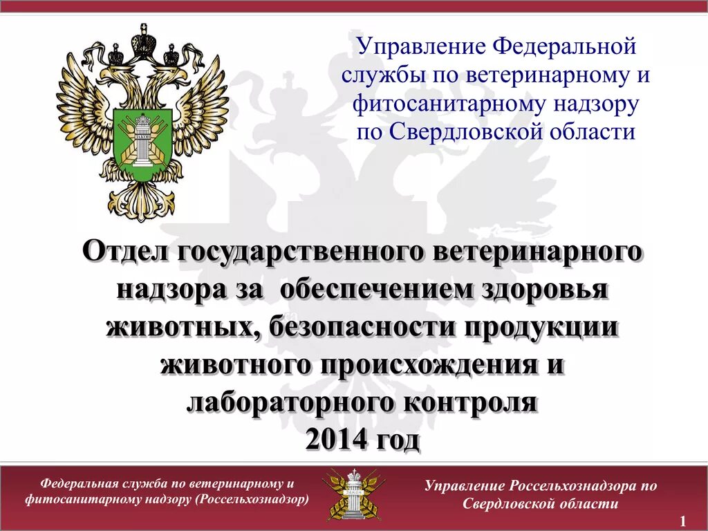 Службы по ветеринарному и фитосанитарному надзору. Федеральная служба по ветеринарному и фитосанитарному. Надзор ветеринарии. Федеральный государственный ветеринарный контроль надзор.