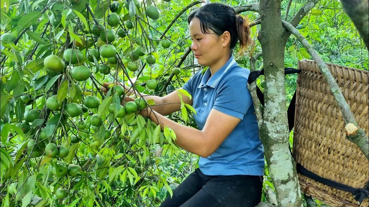 Triēu thi Durong Biography. Fruits bringing. Wild bringing Fruits. Triệu thị Dương кто она. Natural harvest