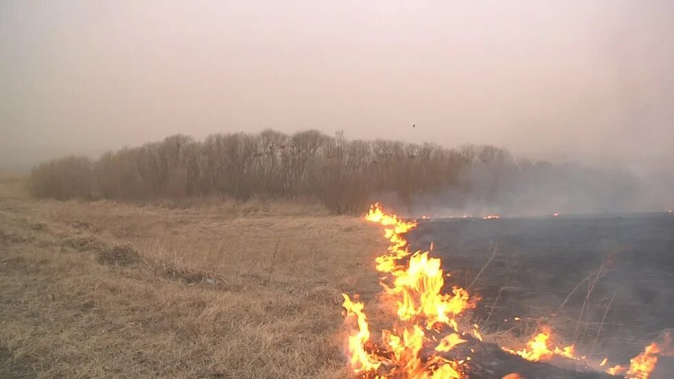 пожары в испании. счета сгорели. лесные пожары в сибири. горит трава на просянке ичалковского района 16. лесныепожар в хакасии 2015.