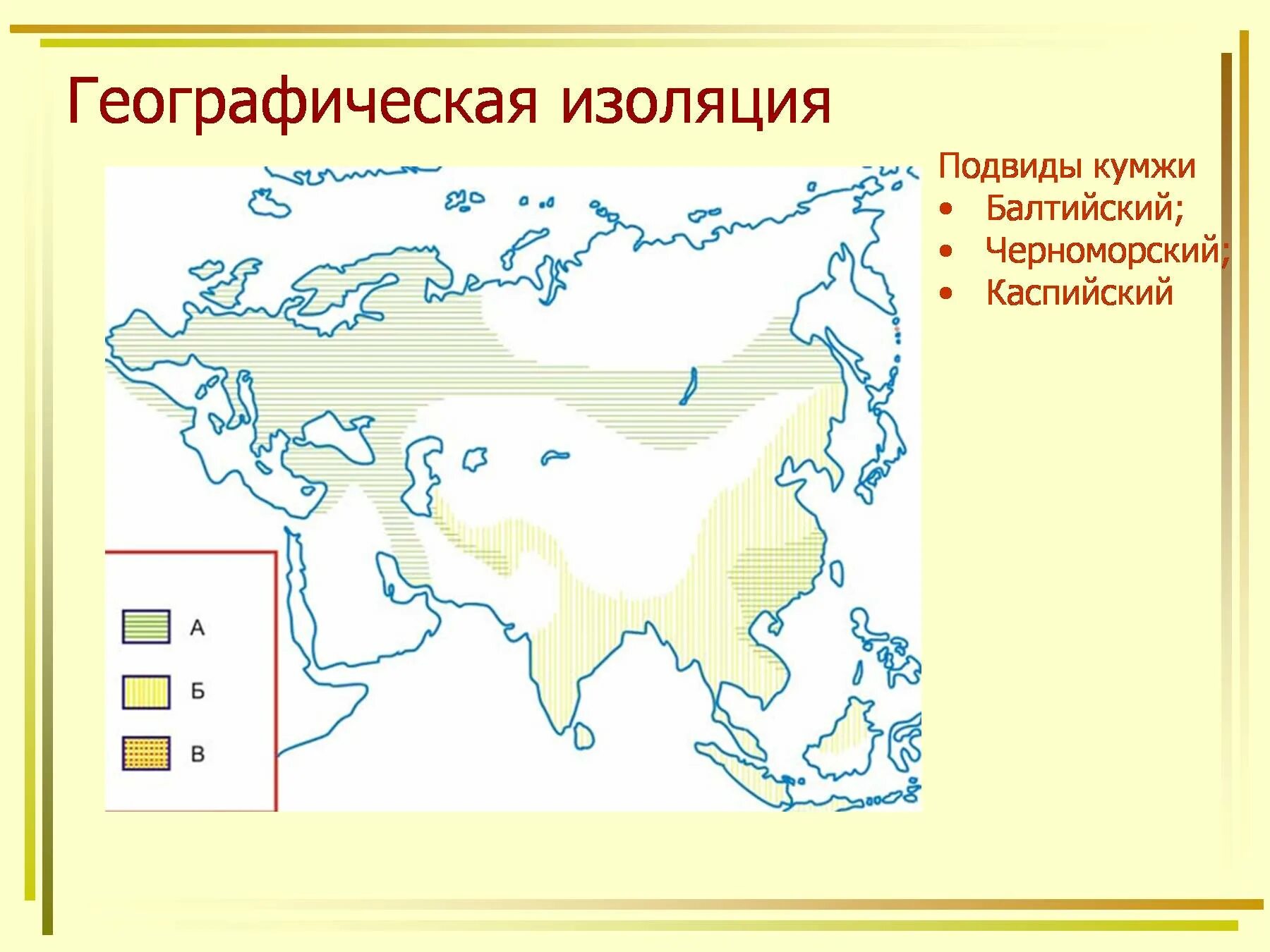 Географическая изоляция. Геограцическое иоляцмя. Географическая изоляция примеры. Географическая изоляция популяций. Географическая изоляция популяций примеры