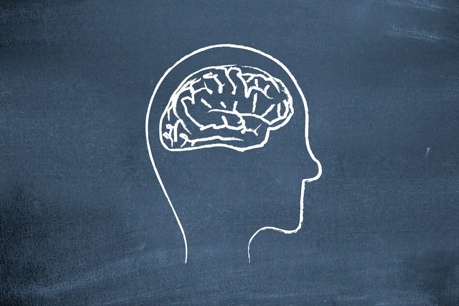 Thought post. Мозг Минимализм. Мозг ум. Разум Минимализм. Минималистичное изображение мозга.