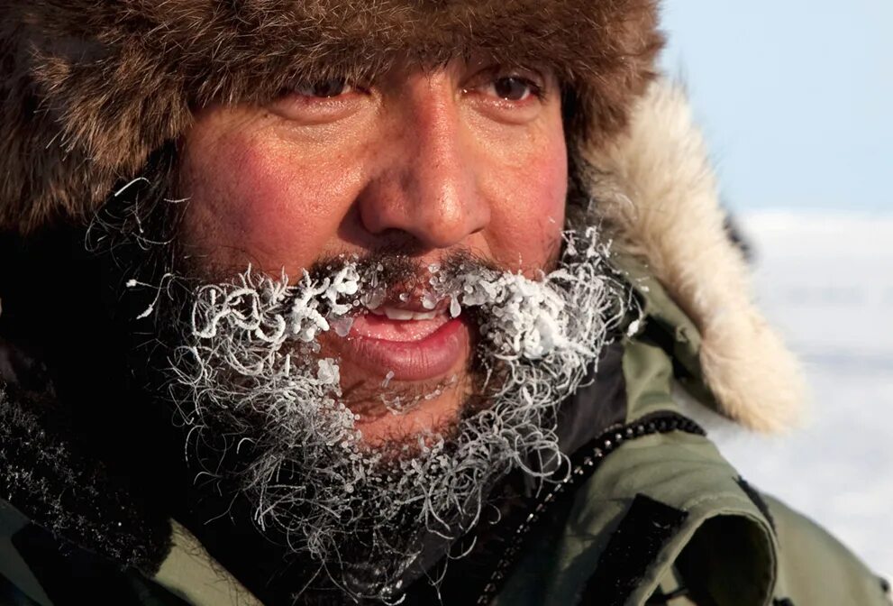 полярник. полярник из сша 4 буквы. георгий алексеевич ушаков (1901-1963). полярник с бородой. арктика.