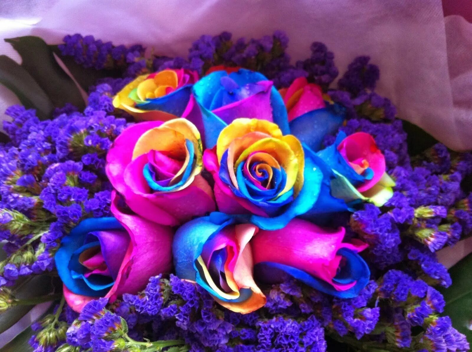 Невероятный цвет. Рейнбоу цветок. Радужные розы "Энигма".