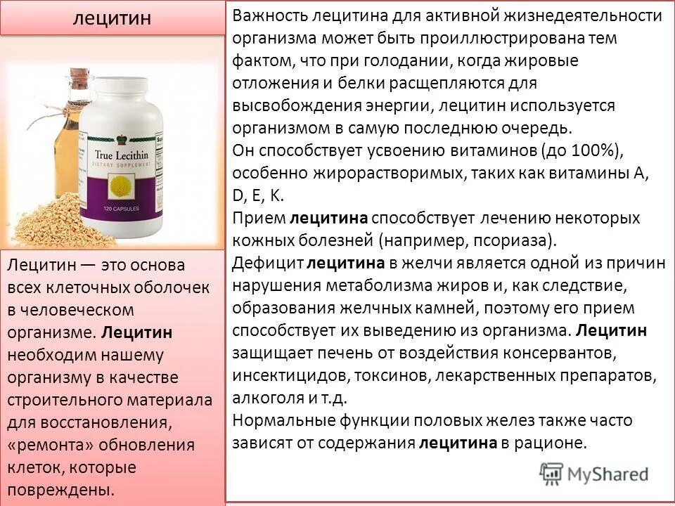 Витамин д нау фудс 5000. Можно ли витамины при аллергии. Памятка по профилактике аллергии. Можно ли витамины при аллергии. Какие витамины нужны при голодании.