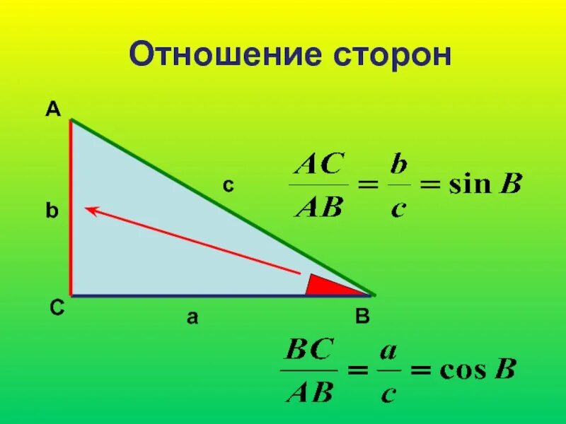 Косинус и стороны прямоугольного треугольника. Тангенс отношение сторон. синус и косинус в прямоугольном треугольнике. синус косинус тангенс в прямоугольном треугольнике. отношение сторон в прямоугольном треугольнике.