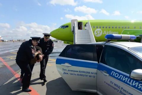 Лу в аэропорту домодедово