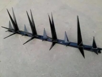Джекс шипы