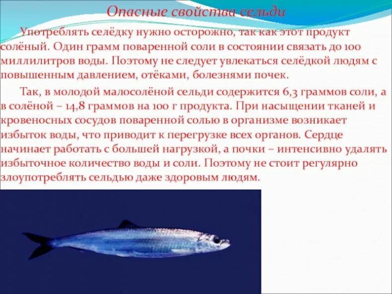 Где обитает селедка