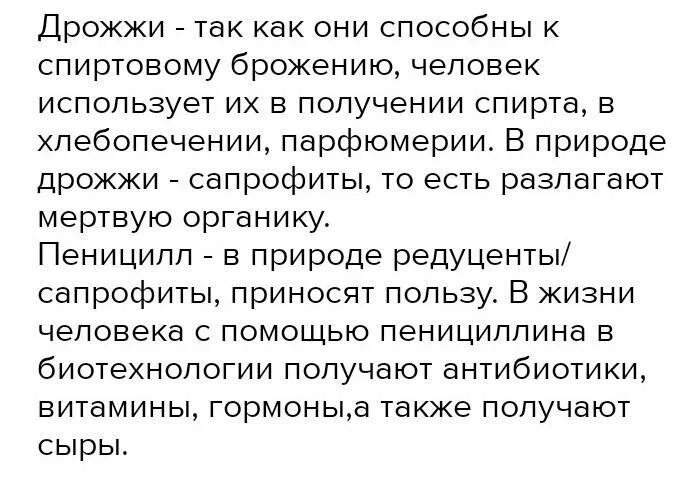 Каково значение дрожжей в жизни человека. Значение дрожжей в природе и жизни человека. Значение дрожжей в жизни человека. Значение дрожжей в природе. Какое значение имеют дрожжи в жизни человека?.