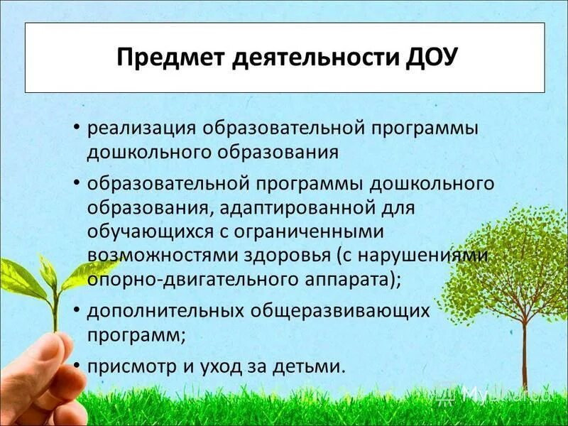 Тест реализация программы дошкольного образования. Трудовые действия воспитателя доу. Критерии на аттестацию воспитателя на первую категорию. Федеральные рабочие программы презентация. Требования к условиям основания программы дошкольного образования-.