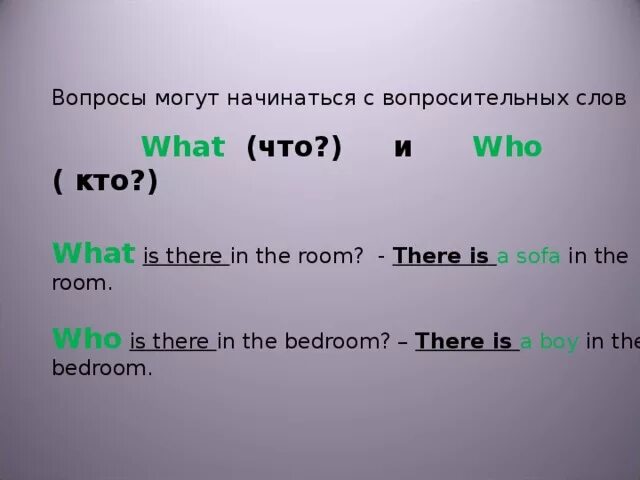 Вопросы с what в английском языке. Вопросы who what. Вопрос с there is. There is there are с вопросительными словами. Вопросительные предложения без вопросительного слова