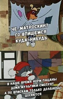 Кот матроскин цитаты
