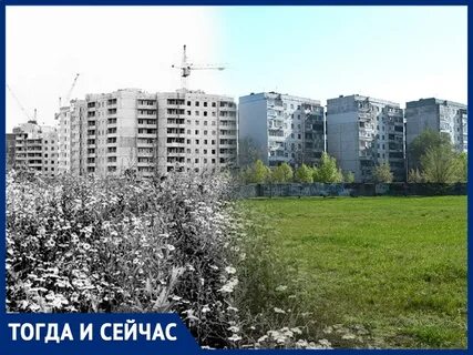Дурак поли